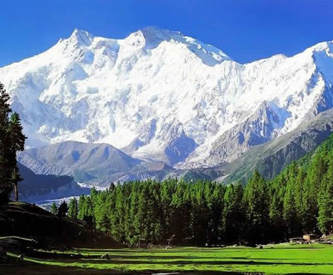 Kashmir Tour Package 